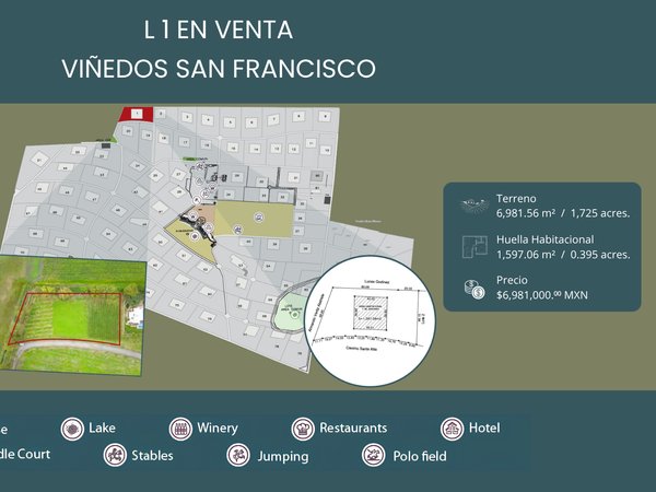 L 1  VIÑEDOS SAN FRANCISCO