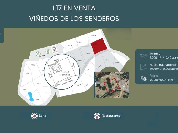 L 4 VIÑEDOS DE LOS SENDEROS