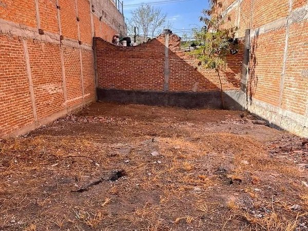 Lote Insurgentes