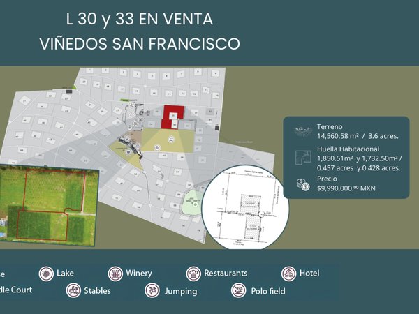 L 30 Y 33 VIÑEDOS SAN FRANCISCO
