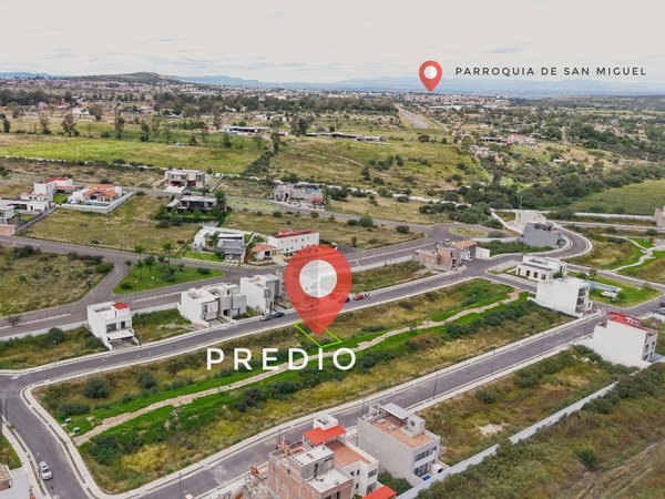 Lote Lavanda
