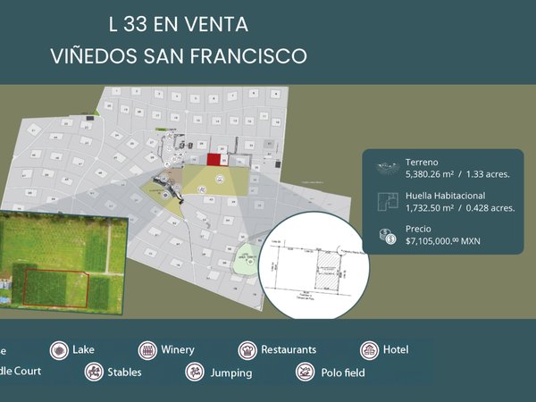 L33 VIÑEDOS SAN FRANCISCO
