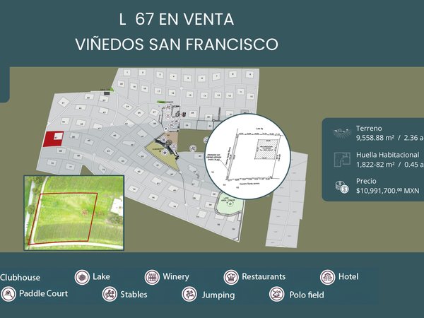 L67 VIÑEDOS SAN FRANCISCO