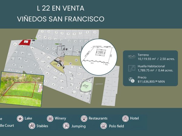 L22 VIÑEDOS SAN FRANCISCO