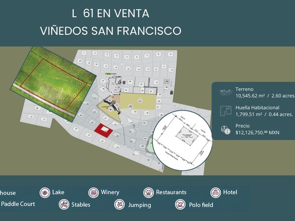 L61 VIÑEDOS SAN FRANCISCO