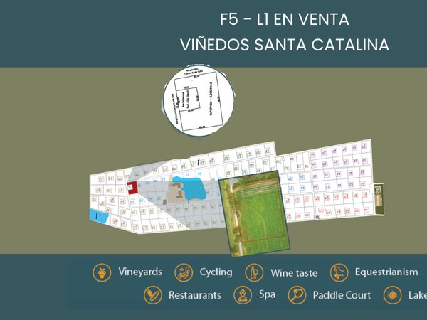 F5 - L1 VIÑEDOS SANTA CATALINA