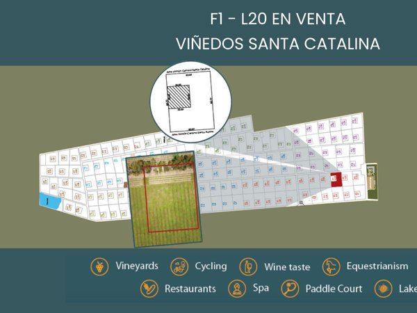 F1 - L20 VIÑEDOS SANTA CATALINA