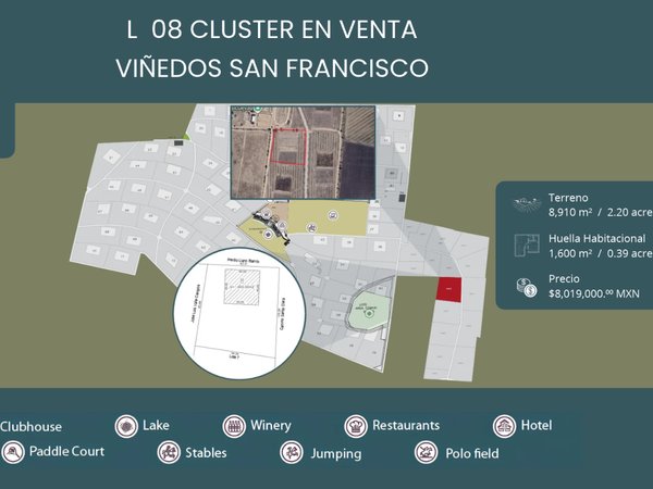 L 8  VIÑEDOS SAN FRANCISCO