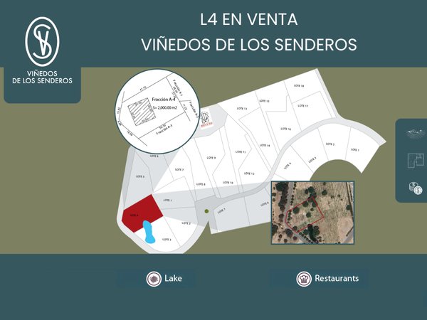 L 4 VIÑEDOS DE LOS SENDEROS