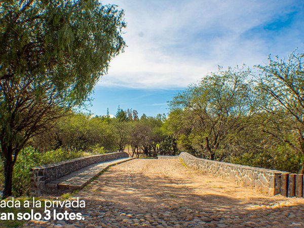 Lote Cané Rancho La Loma