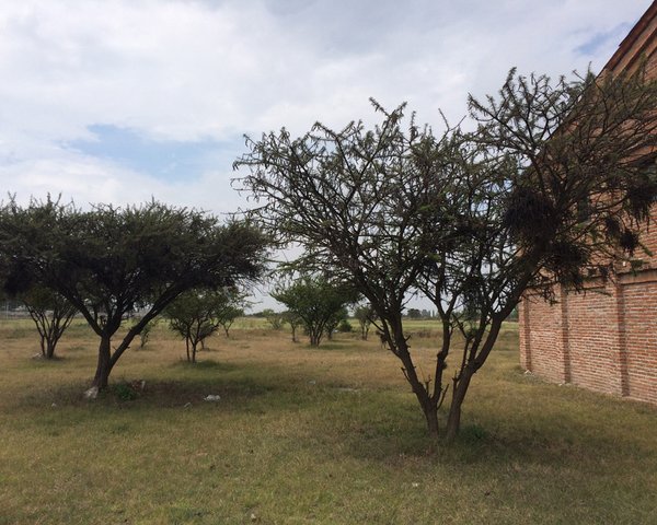 Ideal para uso comercial o residencia! – San Miguel de Allende real estate