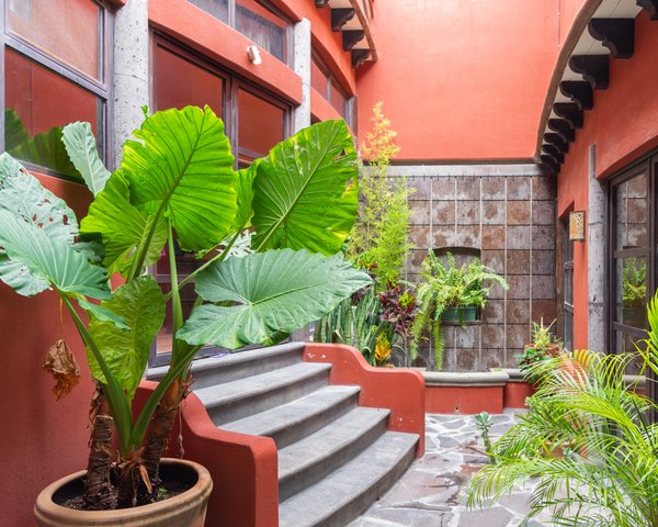 Casa Calandrias  – San Miguel de Allende real estate