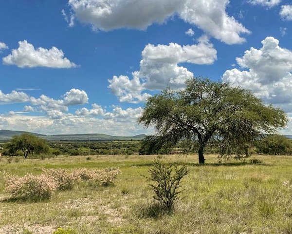 Panoramic Views, Privacy, and Flexibility from La Vivienda – San Miguel de Allende real estate