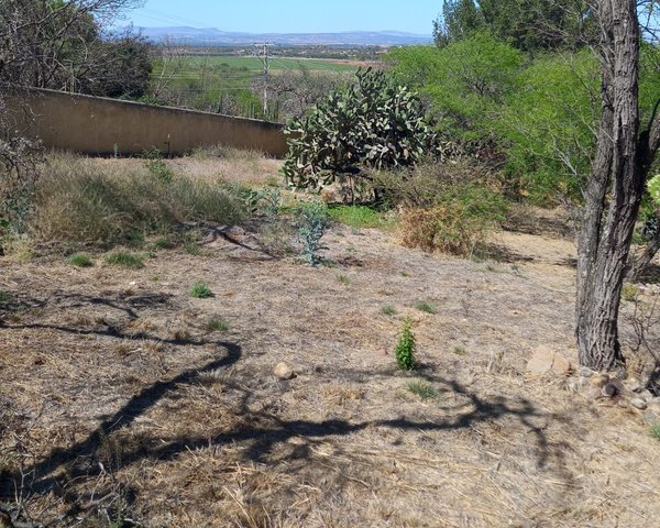 ¡Gran oportunidad de inversión! – San Miguel de Allende real estate