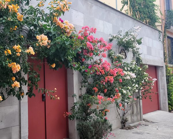 Casita cascada de Colibri. DISPONIBLE A PARTIR DE ABRIL 2026 – San Miguel de Allende real estate