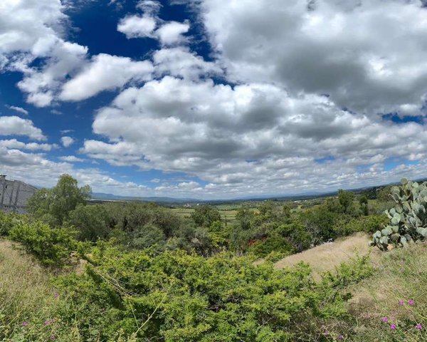Lot Pajaros del viento – San Miguel de Allende real estate