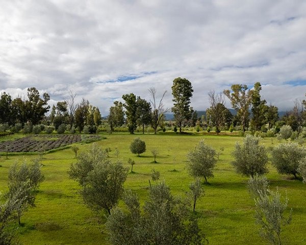  – San Miguel de Allende real estate