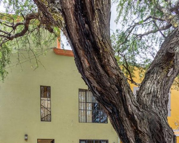 SALIDA A CELAYA – San Miguel de Allende real estate