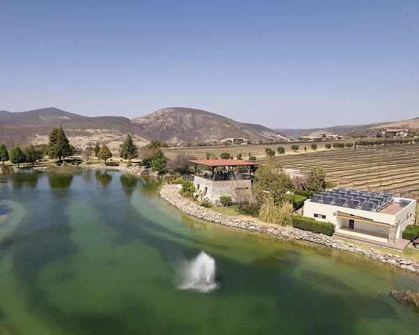 Lote Olivos – San Miguel de Allende real estate