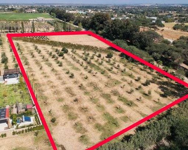 Lote Santisima Trinidad – San Miguel de Allende real estate