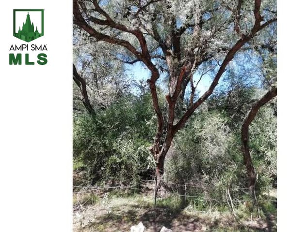 Terreno la Cieneguita – San Miguel de Allende real estate photo 1