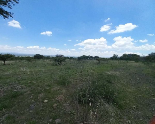 LOTES EN JUAN XIDO (CABRAS) – San Miguel de Allende real estate