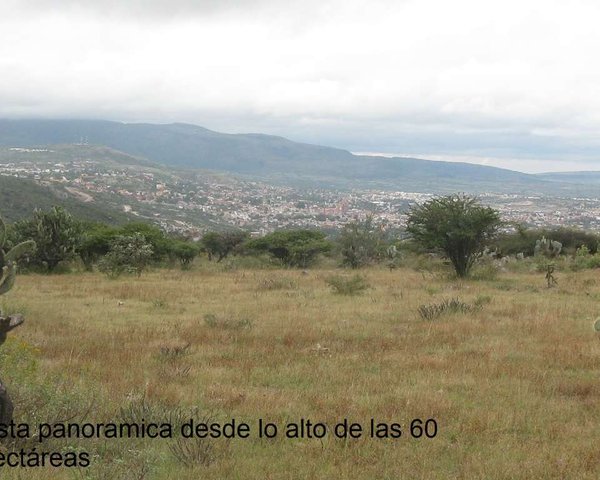 Terreno La Esquina (Inversionistas) – San Miguel de Allende real estate