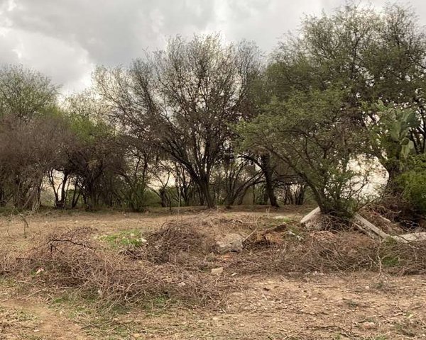 Xido – San Miguel de Allende real estate photo 1