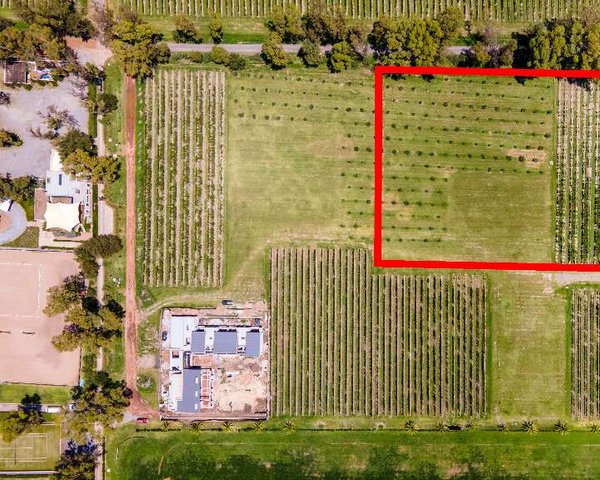 Lote 30 Viñedo San Francisco – San Miguel de Allende real estate
