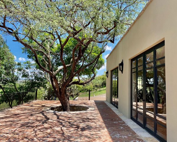 Xido Apartment for rent on the Hill. – San Miguel de Allende real estate