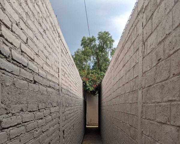 House for rent in Cuesta de San José/views to la Parroquia (Unfurnished) – San Miguel de Allende real estate