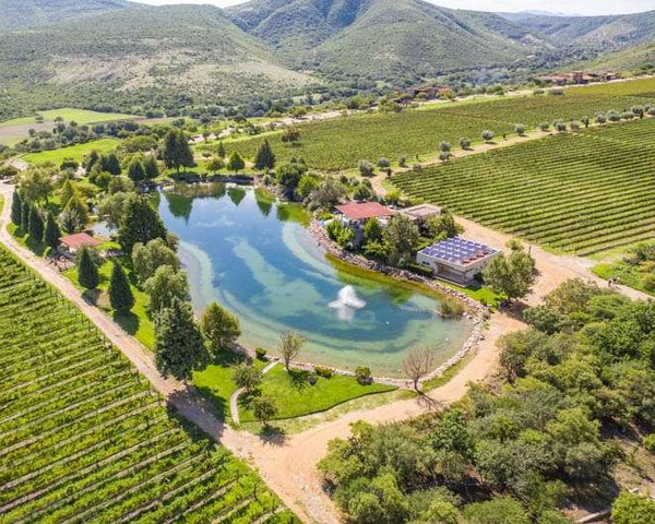 Lote Malbec 24 – San Miguel de Allende real estate