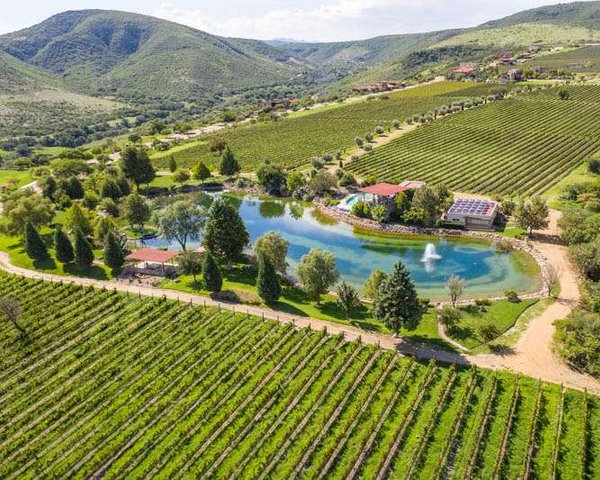 Lote Malbec 24 – San Miguel de Allende real estate photo 1
