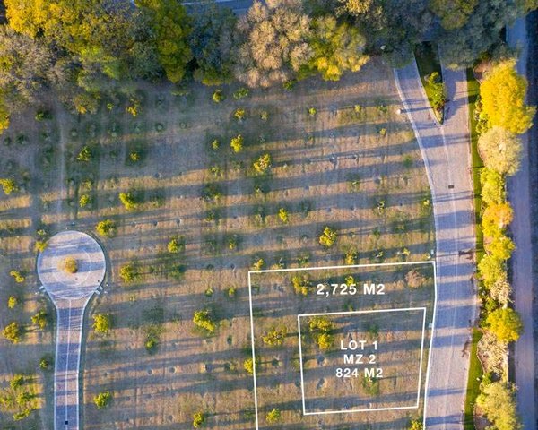 Avocado Orchards – San Miguel de Allende real estate