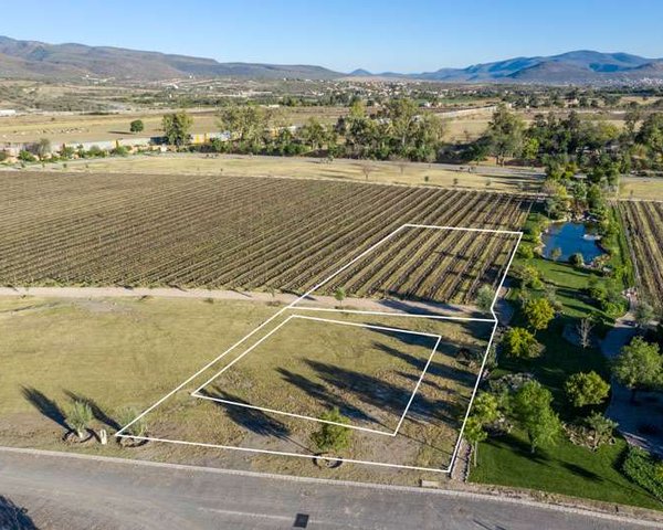 Viñedos lote 9 – San Miguel de Allende real estate