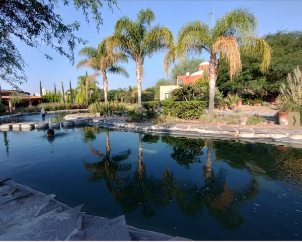 Los Labradores. One bedroom ground floor apartment. Available from June to September 2024 – San Miguel de Allende real estate