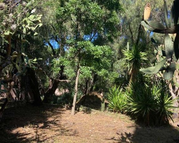 LOTE 4 CAÑADITA DE  LOS AGUACATES – San Miguel de Allende real estate