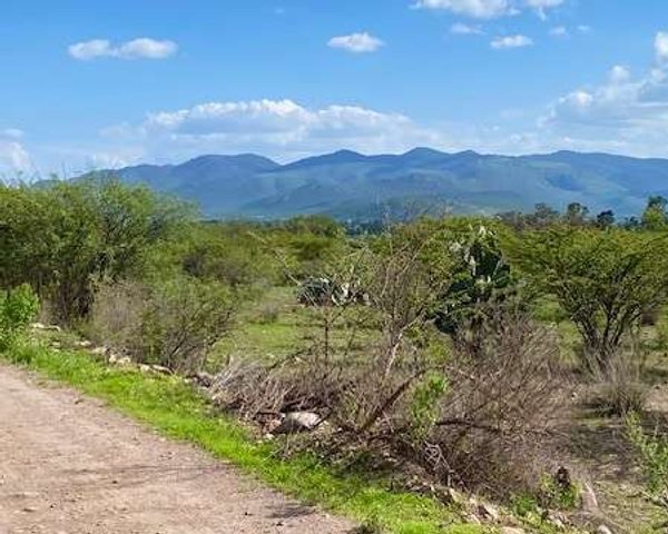  Bordito Lot – San Miguel de Allende real estate