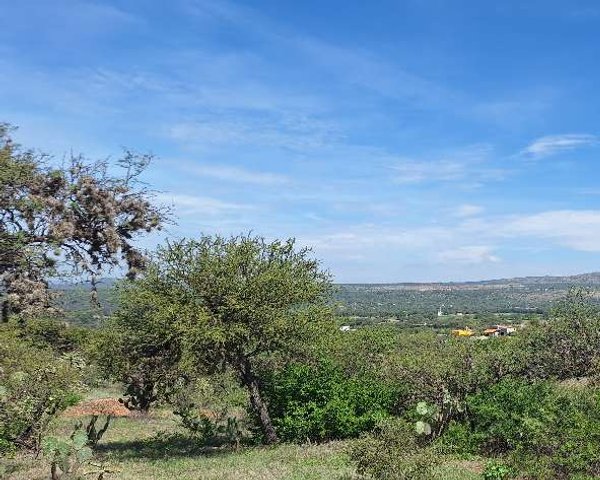 Terreno Montecillo de la Milpa – San Miguel de Allende real estate