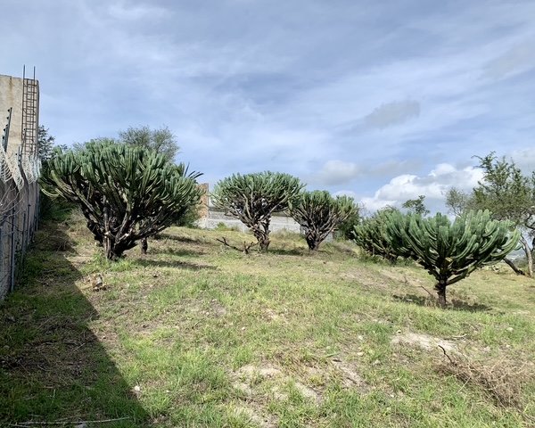 Escapate a la tranquilidad! El terreno con el que siempre haz soñado te espera! – San Miguel de Allende real estate