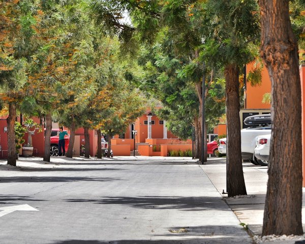Casita Bella  Available June 1, 2026 – San Miguel de Allende real estate
