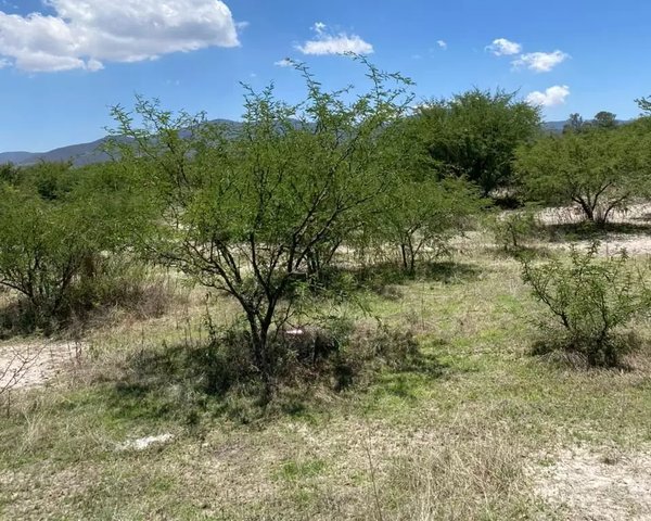 TERRENO POLIGONO LAGUNA ESCONDIDA – San Miguel de Allende real estate photo 1