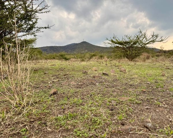 El Tigre Lot – San Miguel de Allende real estate