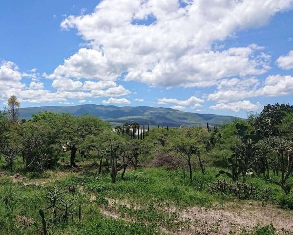 Lote Ponce – San Miguel de Allende real estate