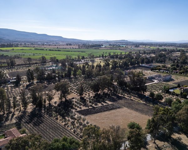 Viñedo San Lucas Lot Next Tochapel – San Miguel de Allende real estate
