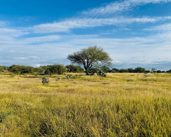 2.5 Hectares of premium Housing land – San Miguel de Allende real estate