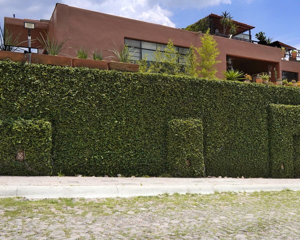 4002 Casa Raul – San Miguel de Allende real estate