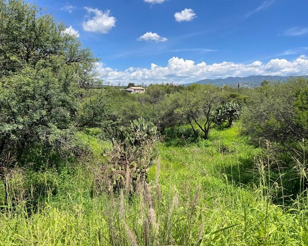 Rancho La Loma Lote 7 – San Miguel de Allende real estate photo 1