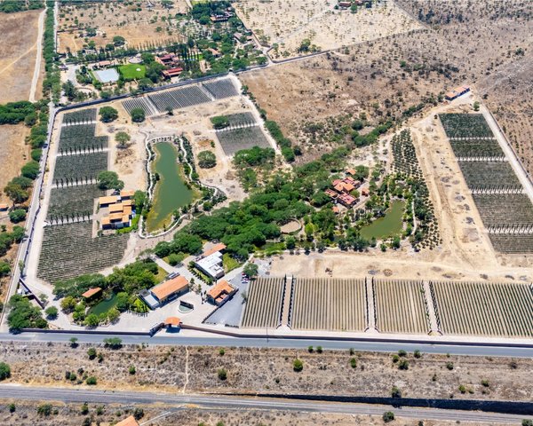 Viñedos Patria Finca 8 – San Miguel de Allende real estate photo 1