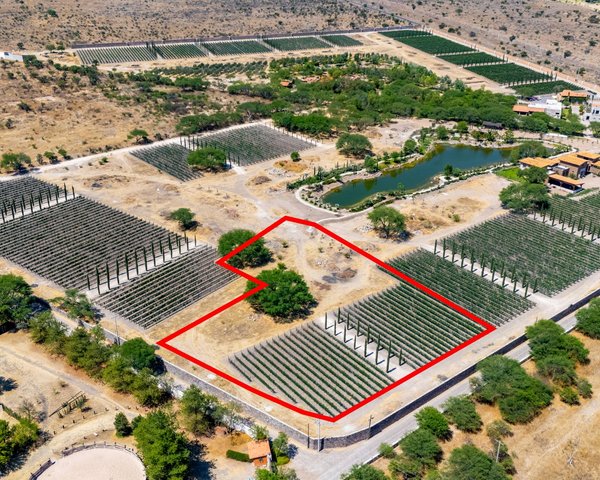 Viñedos Patria Finca 8 – San Miguel de Allende real estate